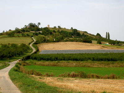 Campagne et noyeraies autour de Miribel