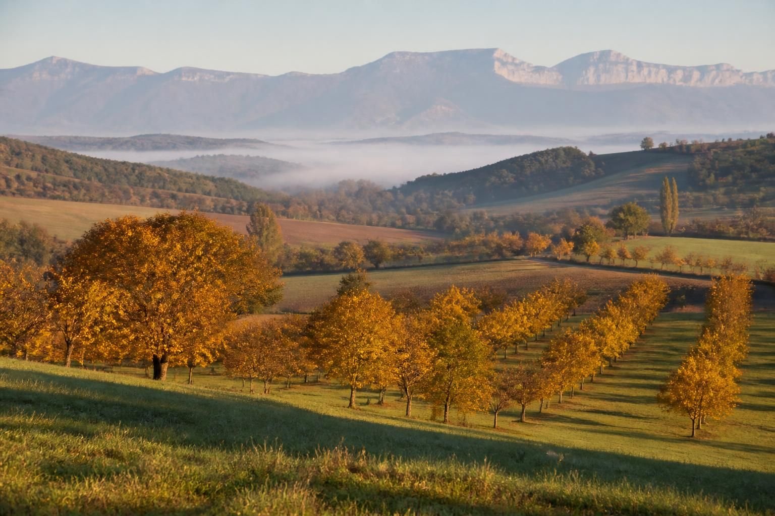 découvrez la magie de l'automne dans les noyeraies, la saison où les collines se parent de leurs plus belles couleurs et offrent un spectacle naturel époustouflant.