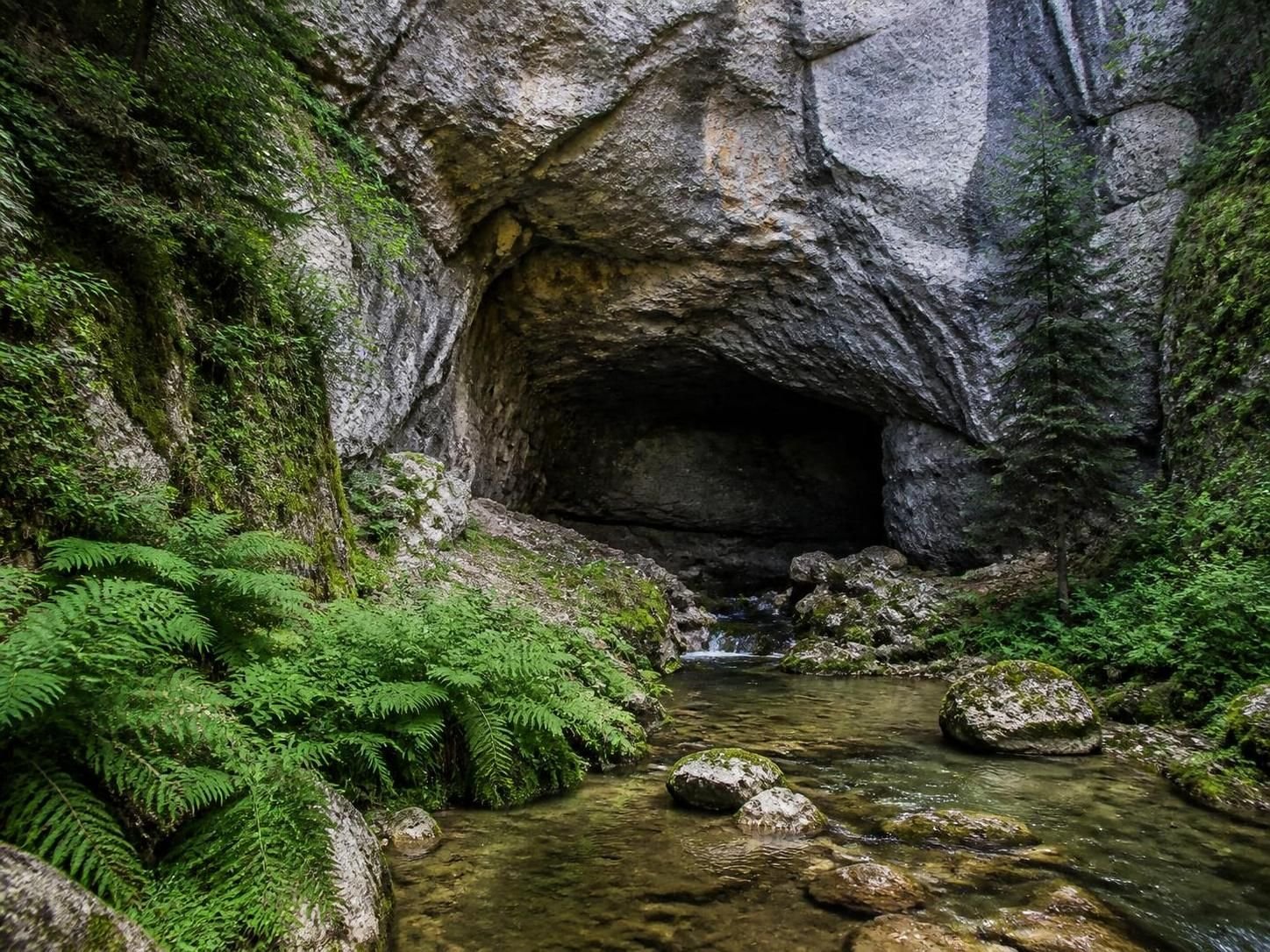 découvrez la grotte du brudour, une escapade fraîcheur incontournable dans le vercors drômois, idéale pour explorer la nature et se rafraîchir au cœur de paysages préservés.