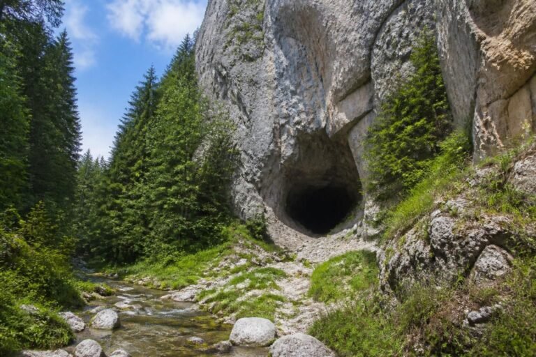 découvrez la grotte du brudour, une escapade fraîcheur incontournable dans le vercors drômois, idéale pour des moments de nature et de fraîcheur au cœur des paysages préservés.