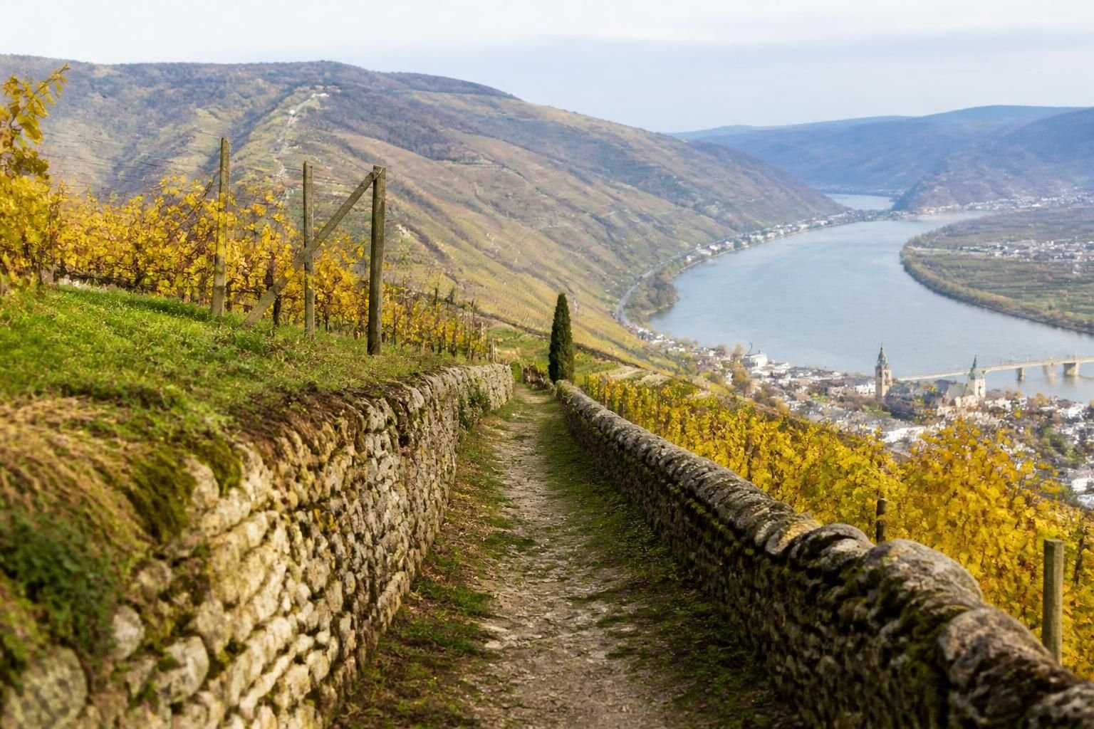 découvrez le chemin de l'hermitage à tain, une balade unique entre les vignobles jusqu'à la chapelle offrant des vues panoramiques sur la vallée.