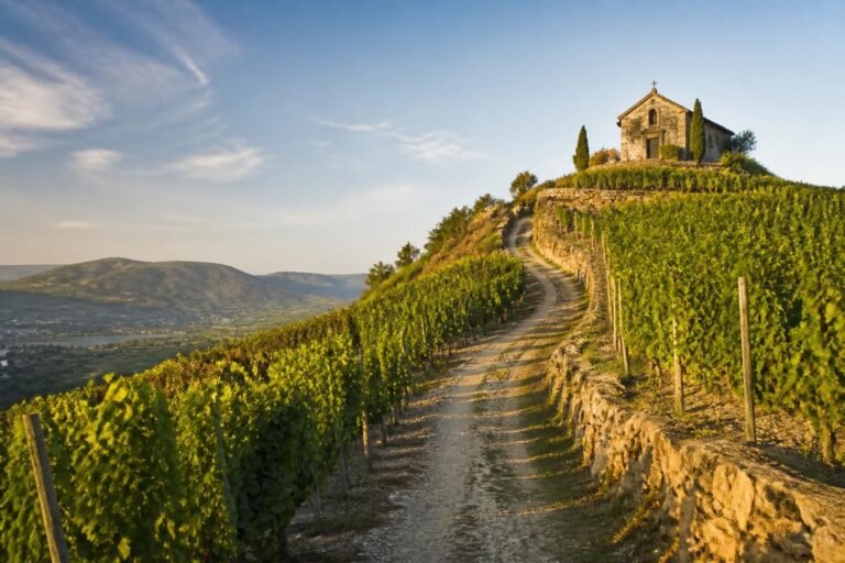 découvrez le chemin de l'hermitage à tain, une randonnée pittoresque qui vous mène à la chapelle perchée au cœur des vignobles, offrant des vues exceptionnelles sur la vallée et les vignobles environnants.