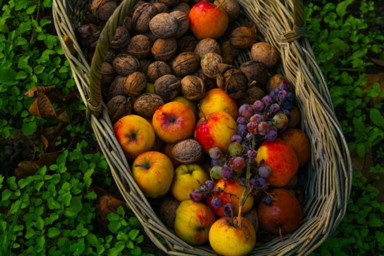 Panier de noix fraîchement récoltées